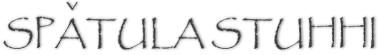 Logo for Spatula Stuhhi